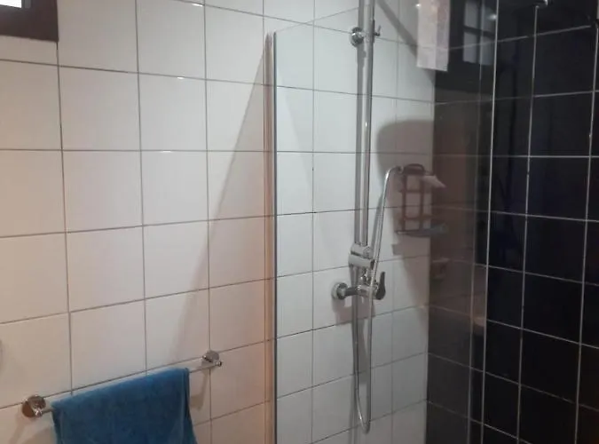 Winter Wonderland Tamaimo