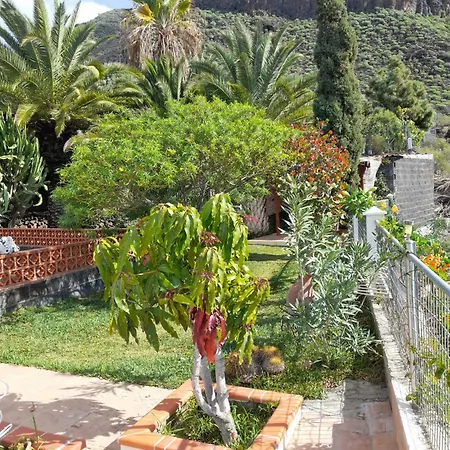 Gasthof Winter Wonderland Tamaimo