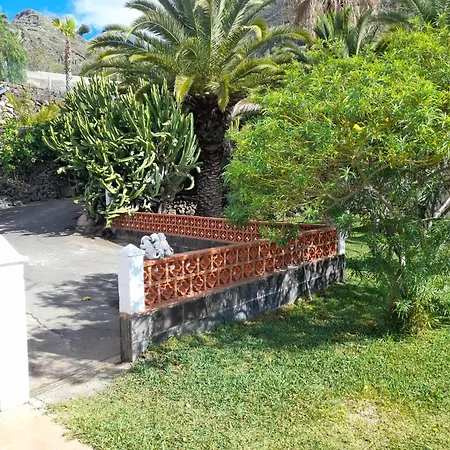 Winter Wonderland Gasthuis Tamaimo