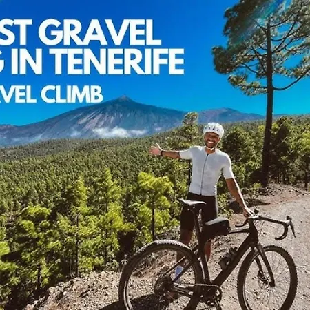 Winter Wonderland Tamaimo