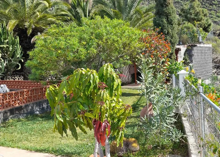 Πανσιόν Winter Wonderland Tamaimo