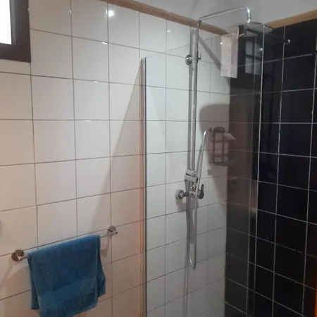 Winter Wonderland Tamaimo