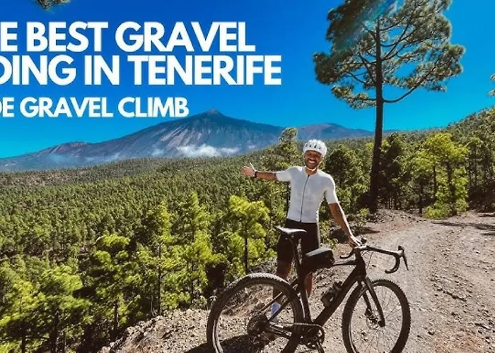 Winter Wonderland Tamaimo