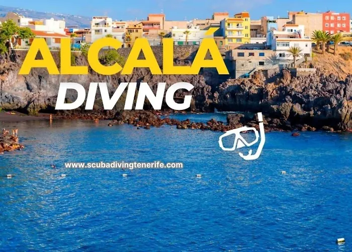 Vendégház Winter Wonderland